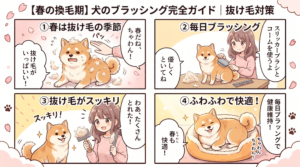 【春の換毛期】犬のブラッシング完全ガイド｜犬種別ブラシ選びと抜け毛対策